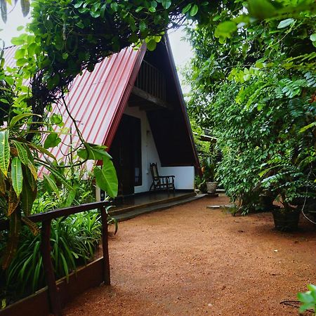 Sky Villa Sigiriya Buitenkant foto