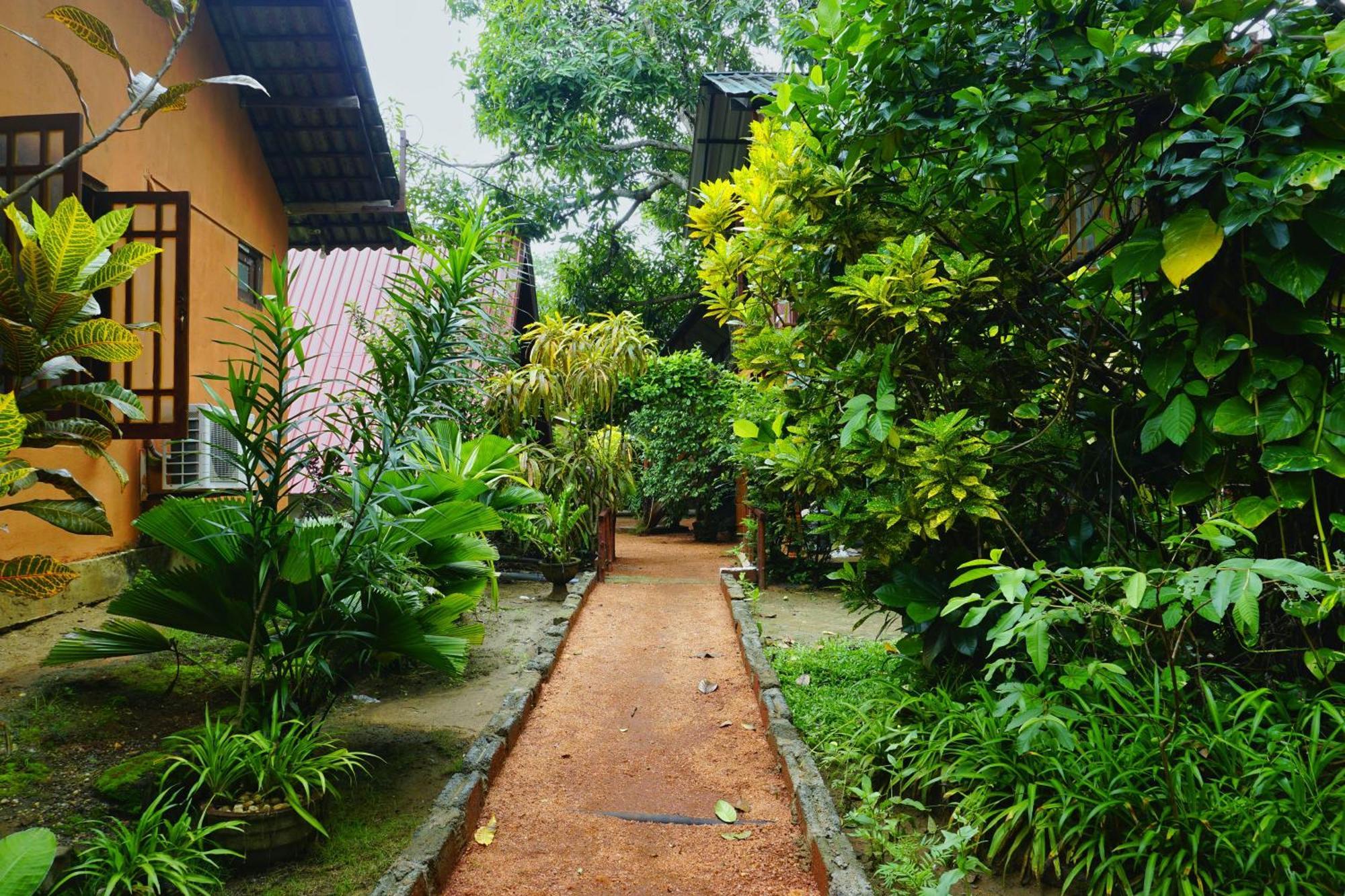 Sky Villa Sigiriya Buitenkant foto